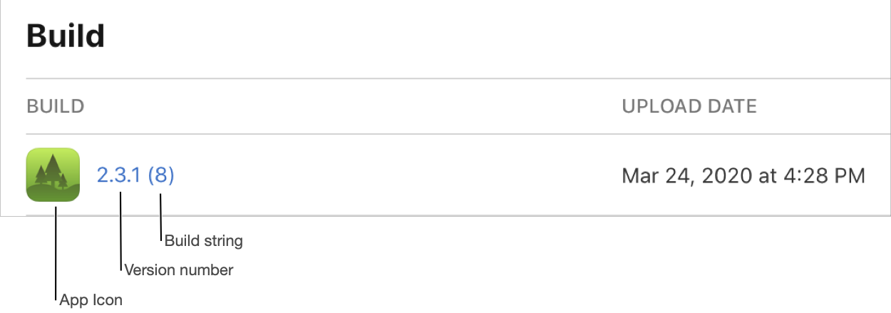 This screenshot captures the build details from the iOS platform page. In the Build section, you'll find the app icon, version number, build string, and upload date on the right.